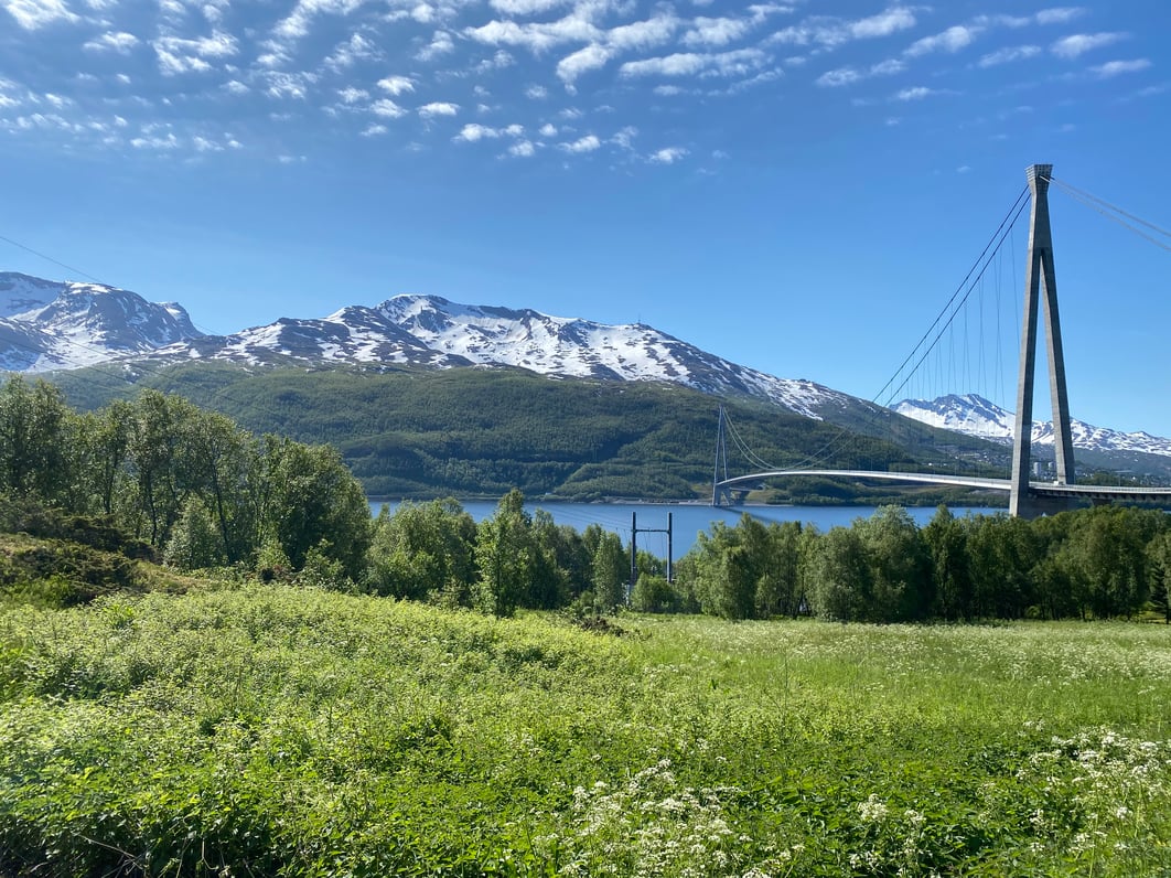 Bro, gress, fjell, sjø