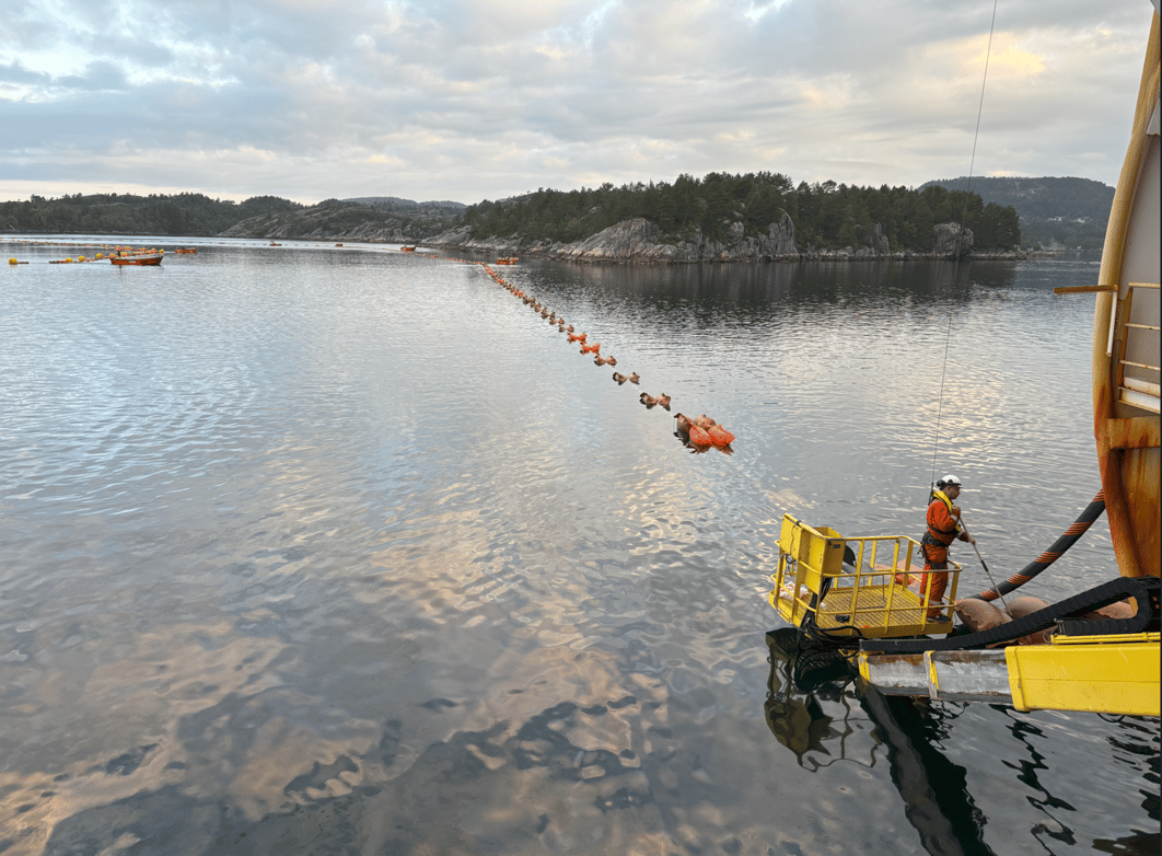 Bilde av fløting på fjord