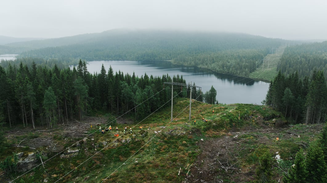 skog, fjell, vann, 