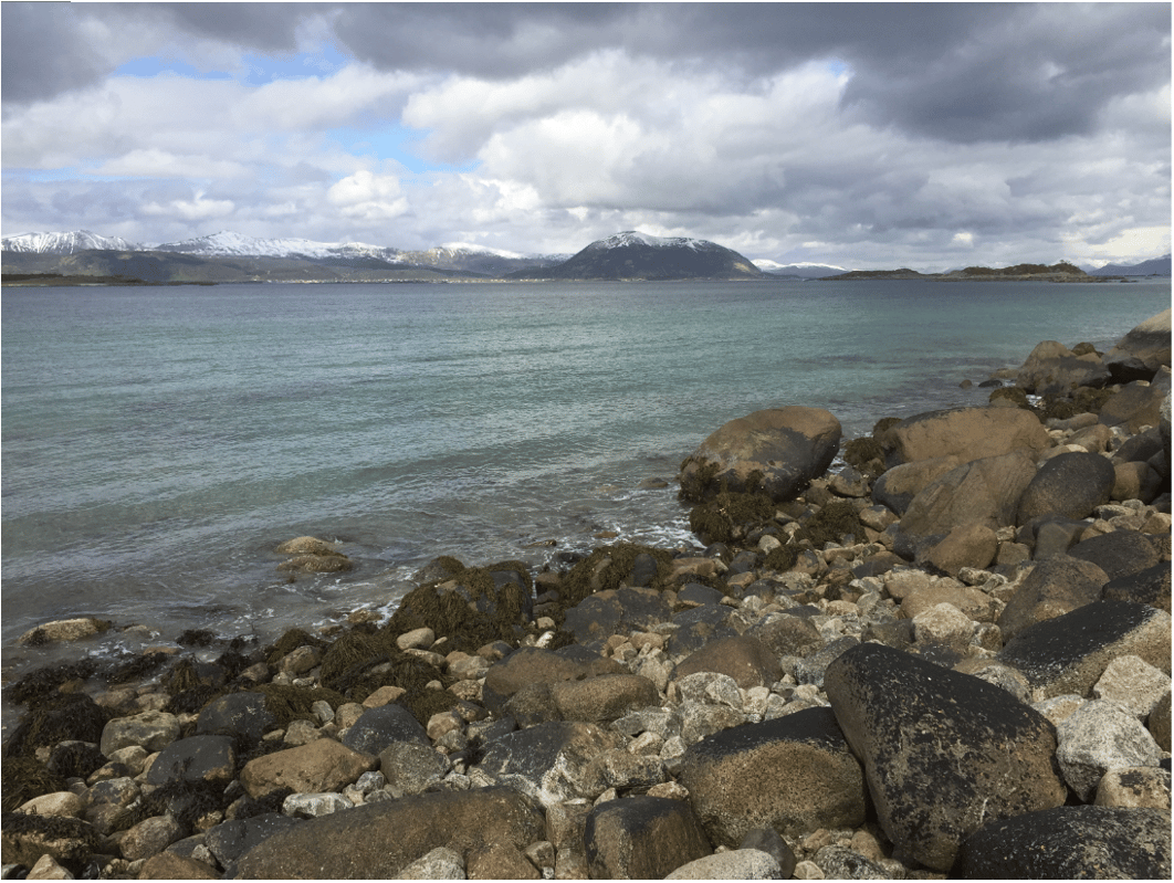 Shore and stones