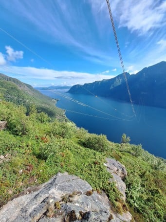 skog, fjell, fjord 