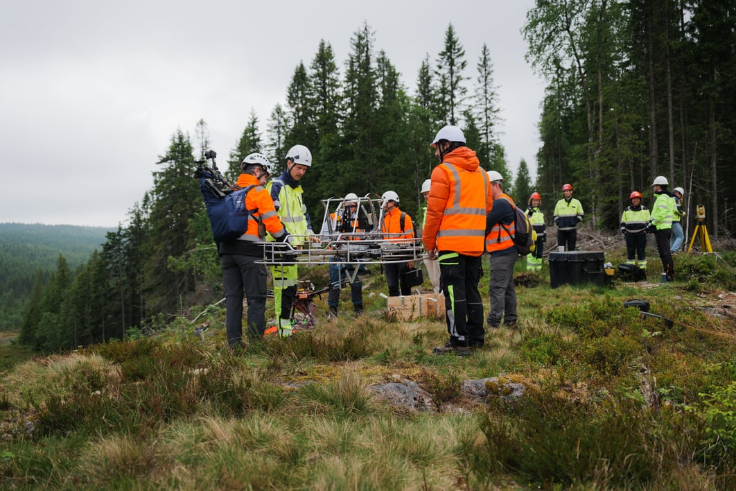 Mennesker, skog, arbeider 
