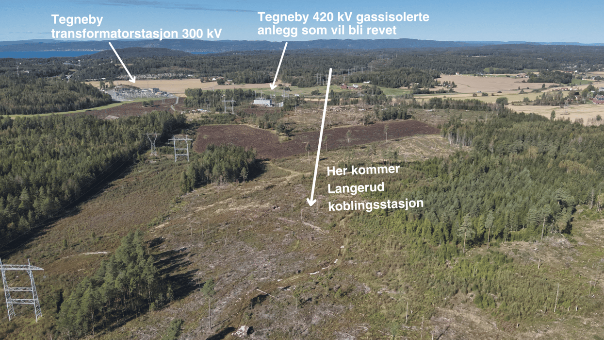 Bilde som viser et skogsområde hvor ny koblingsstasjon kommer.