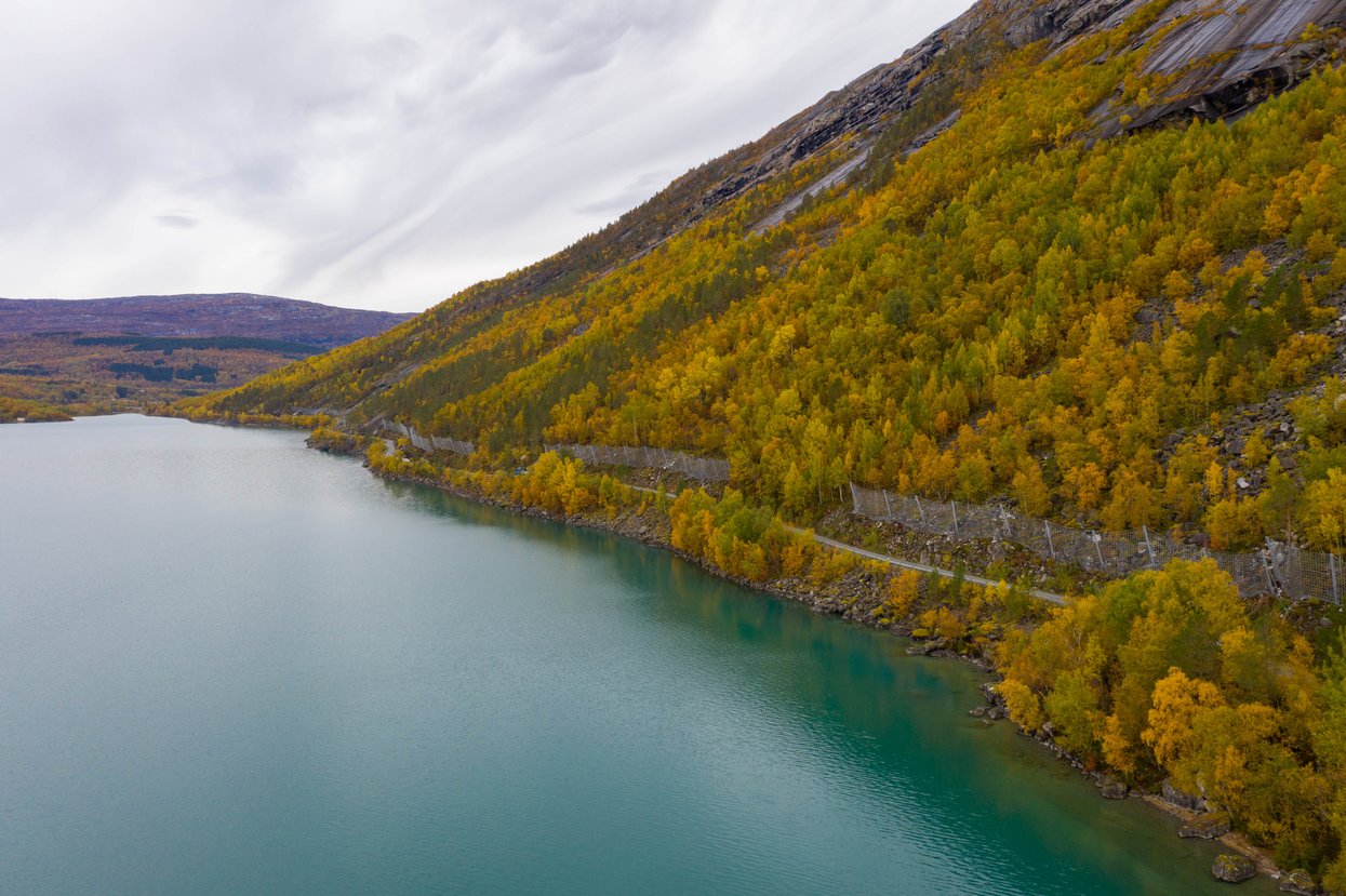 Straumvassveien