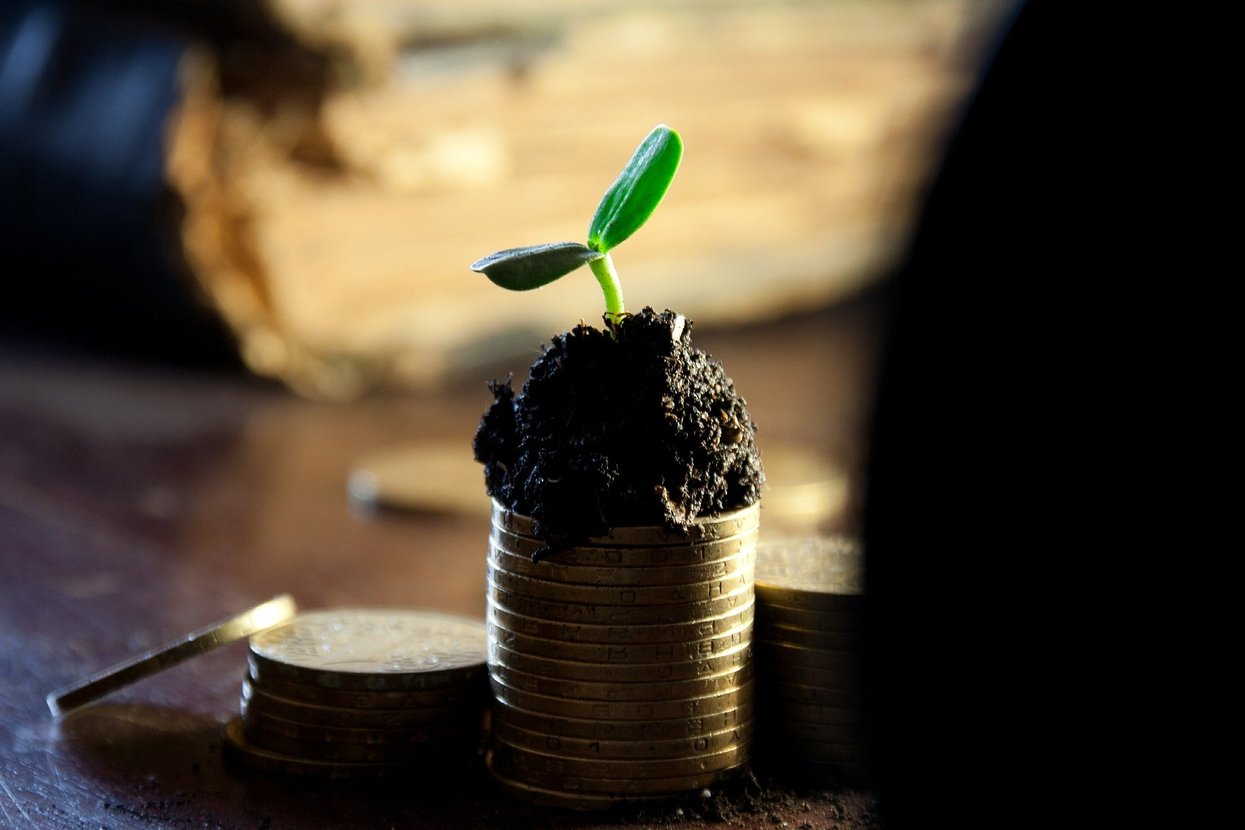 Illustration, green leaves growing on top of money