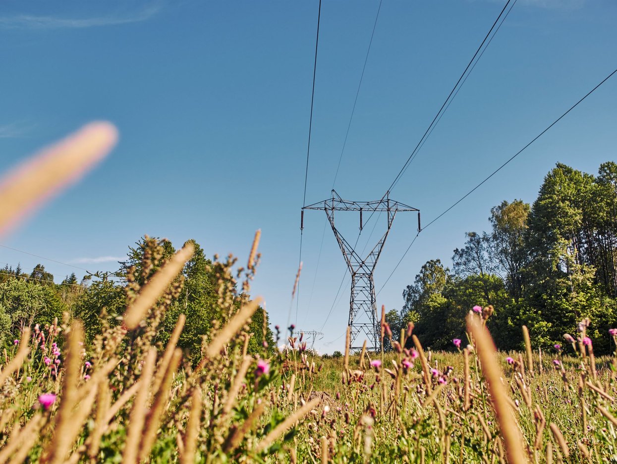 Illustration Summer meadow and pylons