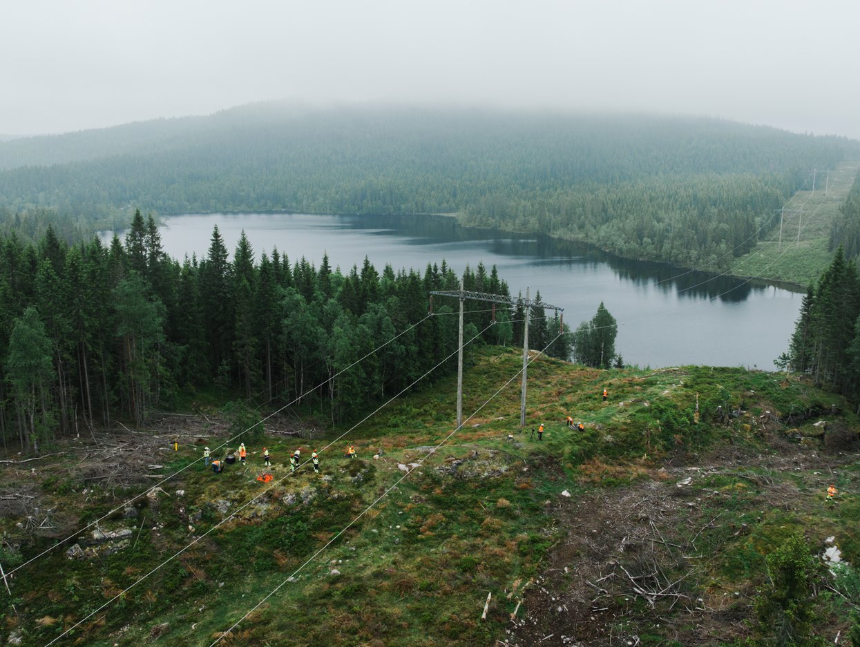 skog