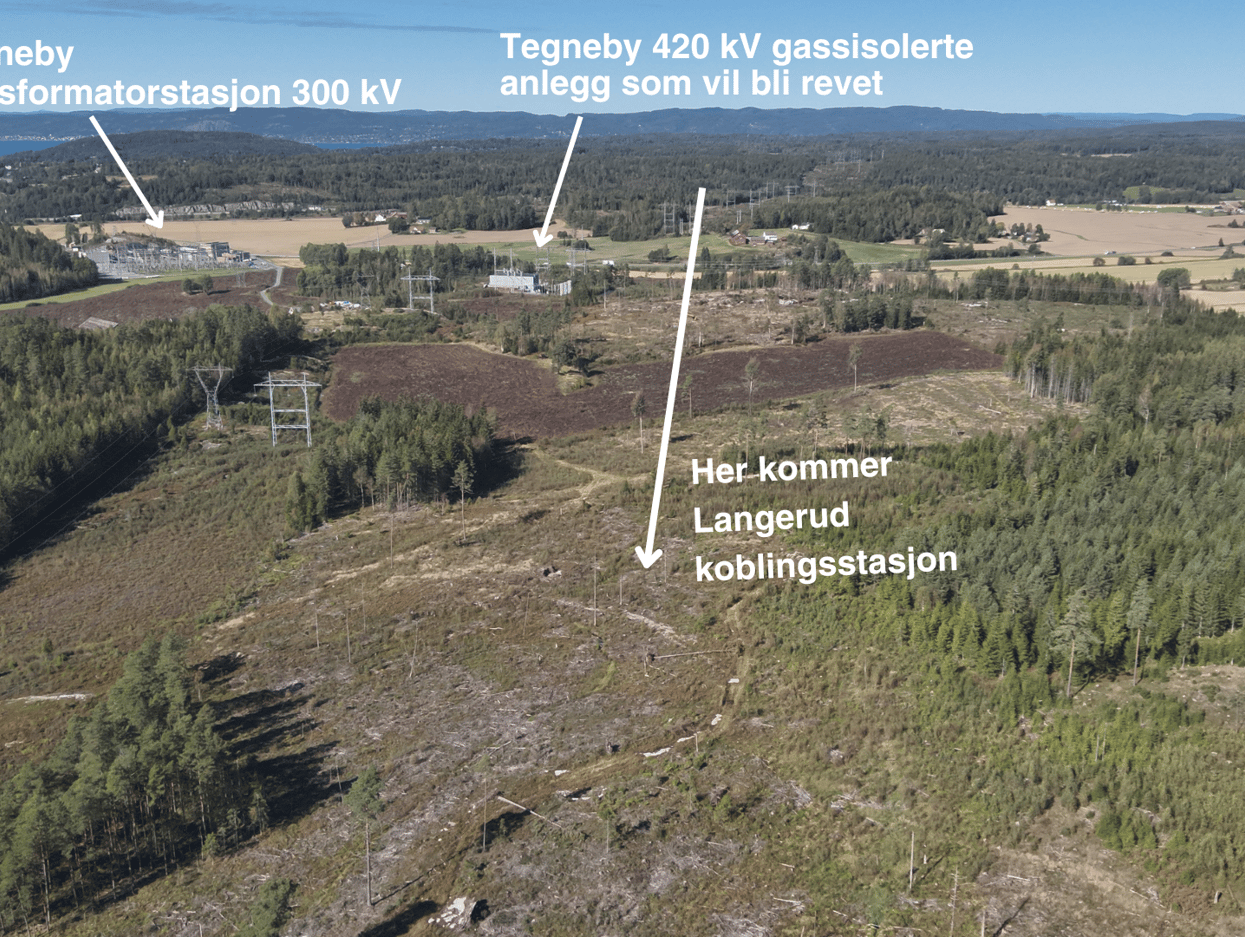 Bilde som viser et skogsområde hvor ny koblingsstasjon kommer.