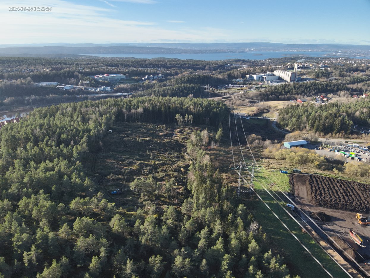 Bilde av skog