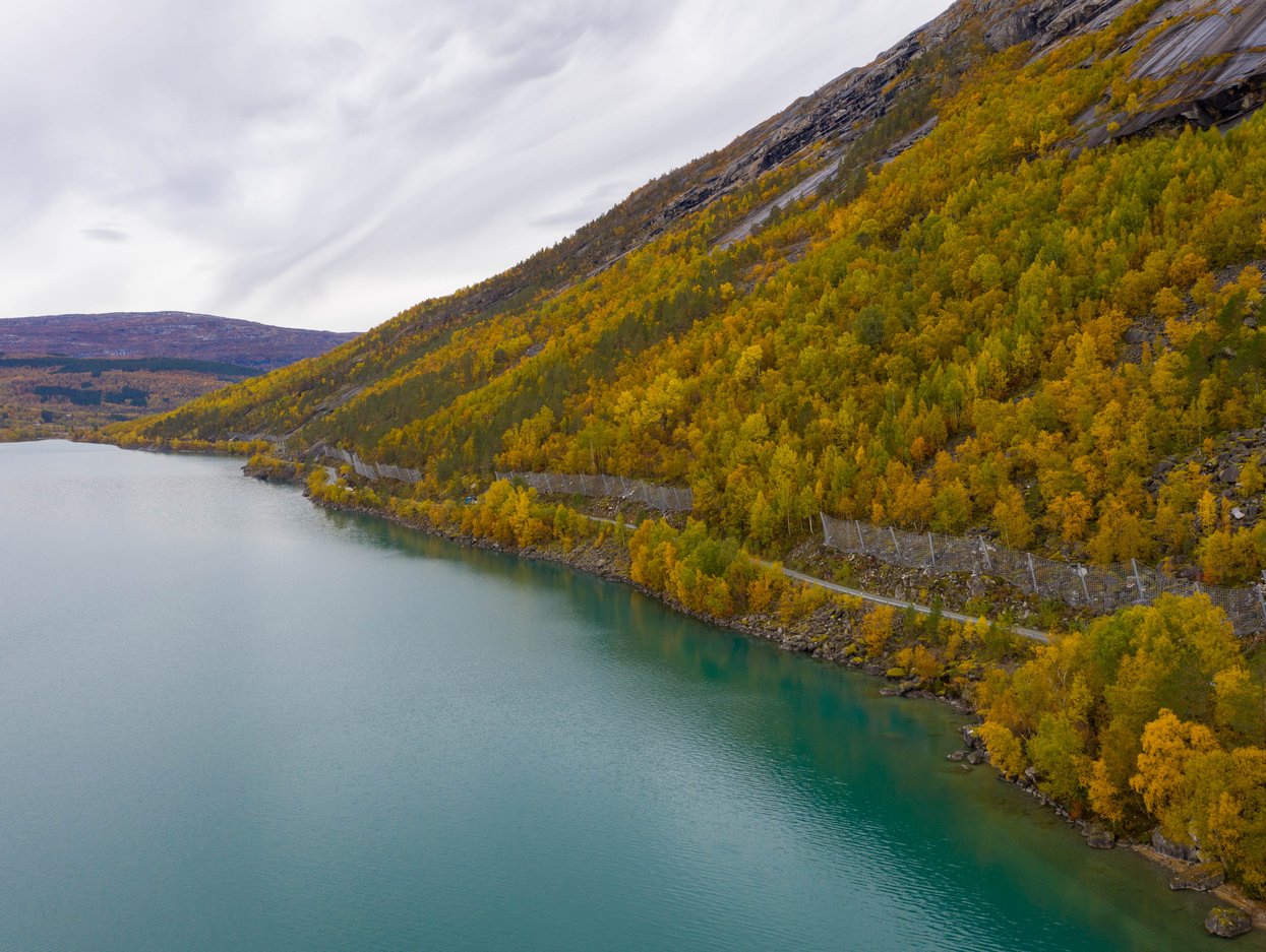 Straumvassveien