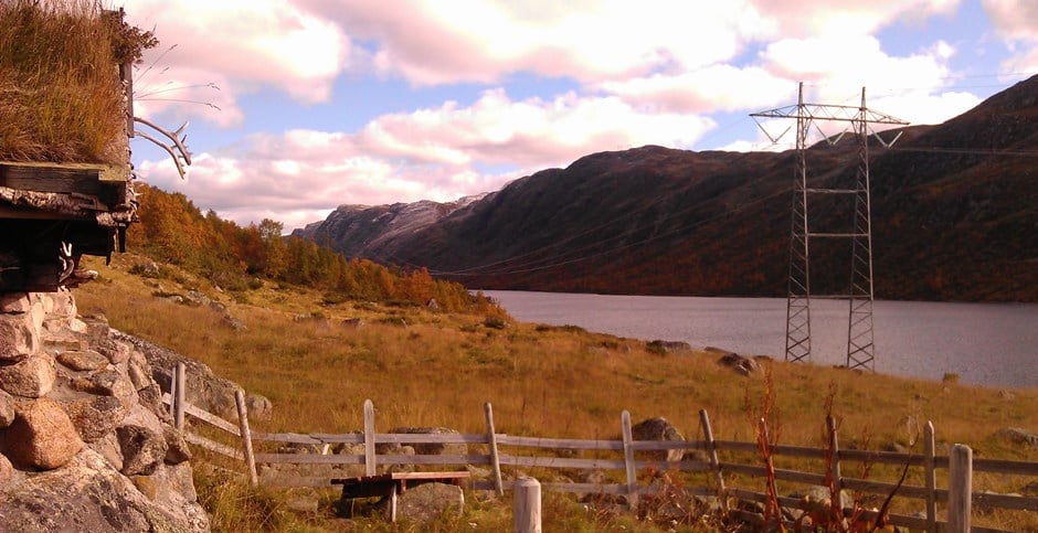 Illustrasjon av åker