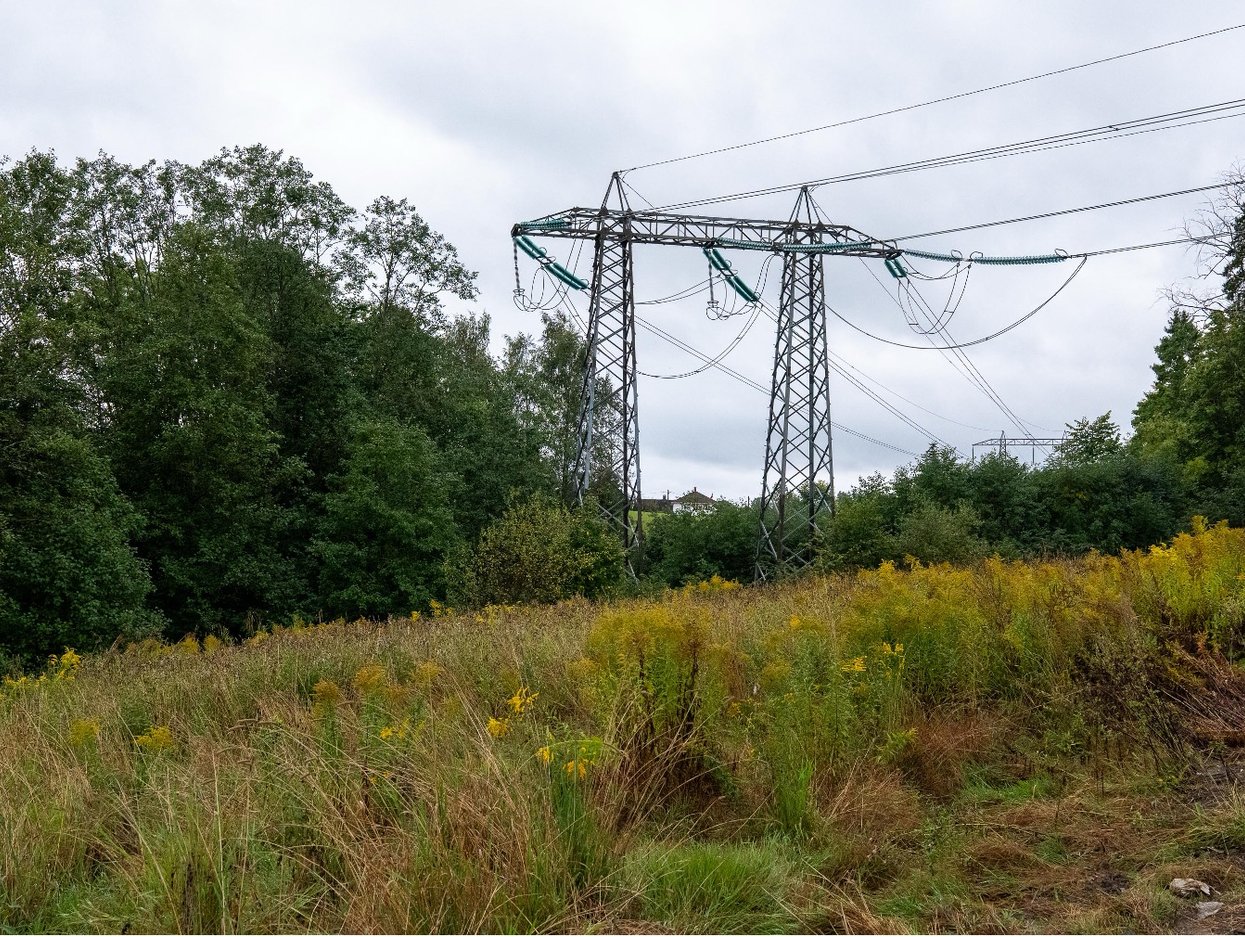 Bilde av en mast 