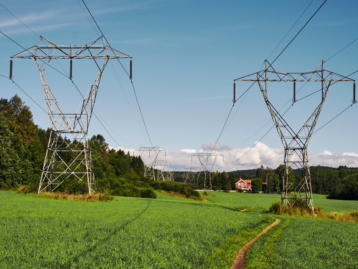 Illustrasjon av mast og eng
