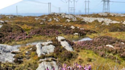 Strømnett i Øygarden