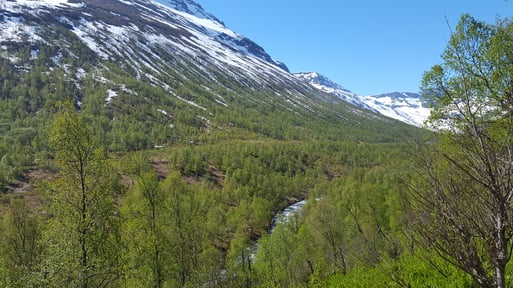 Illustrasjonsbilde for Ofoten-Balsfjord