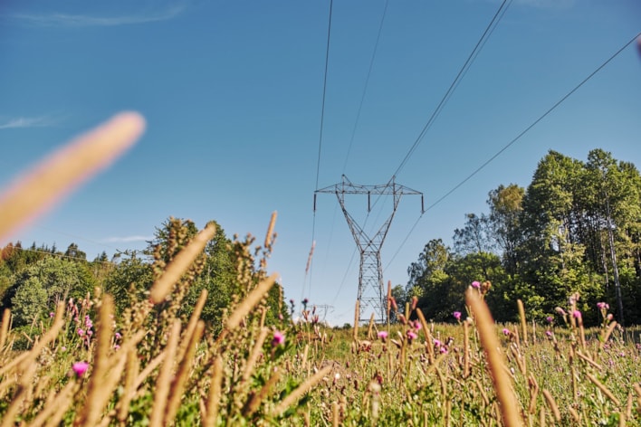 Illustration Summer meadow and pylons