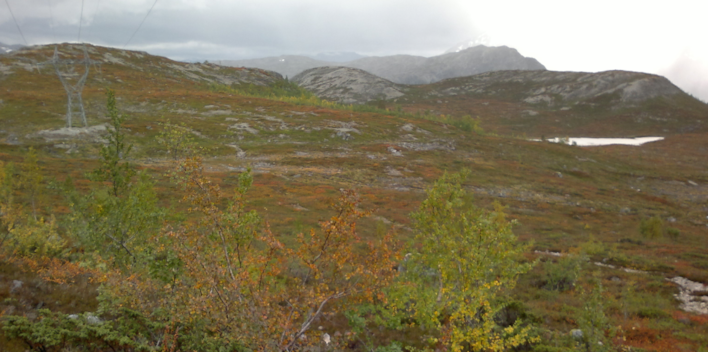 Landskap