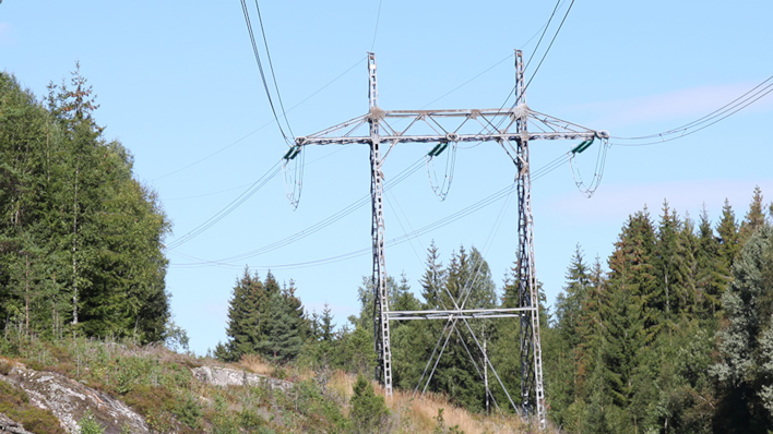 Strømmast og skog