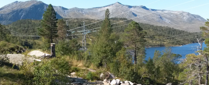 Landskap med høyspentmaster