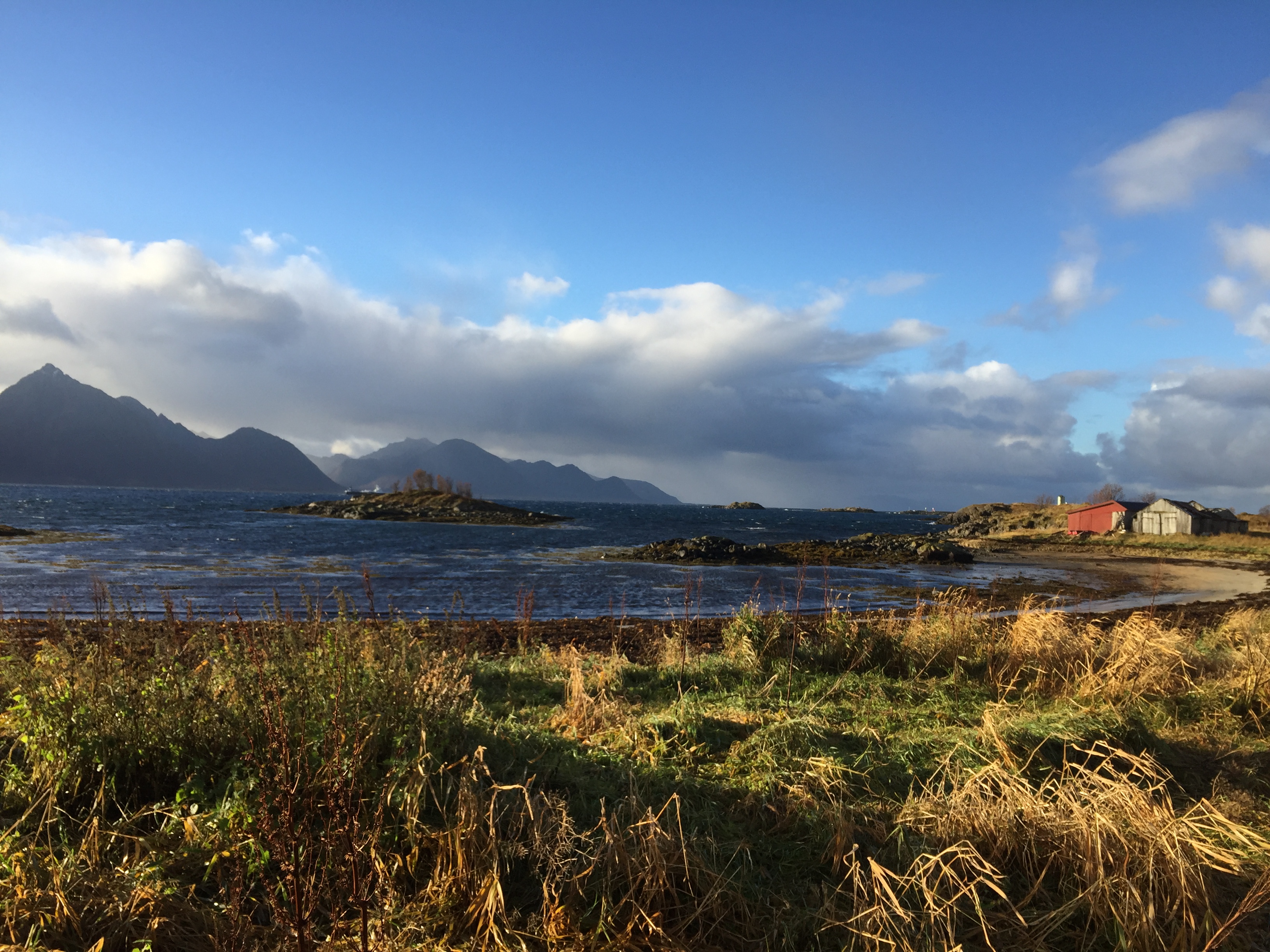 Bildet viser Hadselfjorden sett fra Husby på Melbu