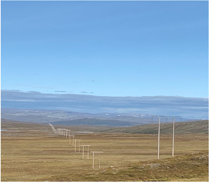 Illustration nature and pylons