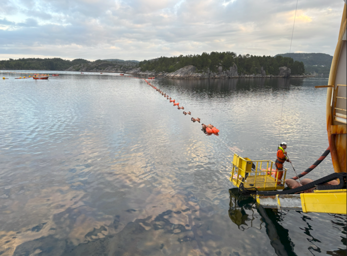 Bilde av fløting på fjord