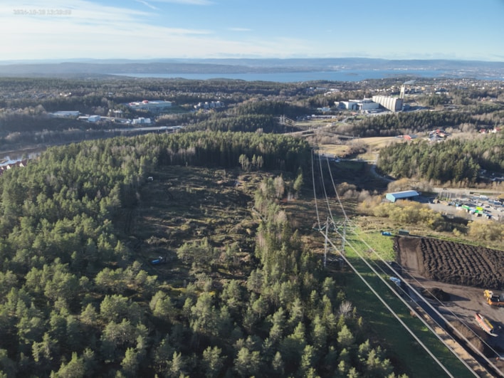 Bilde av skog