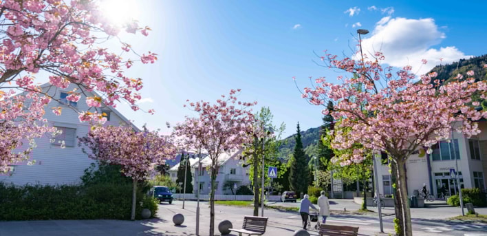 Sogndal sentrum
