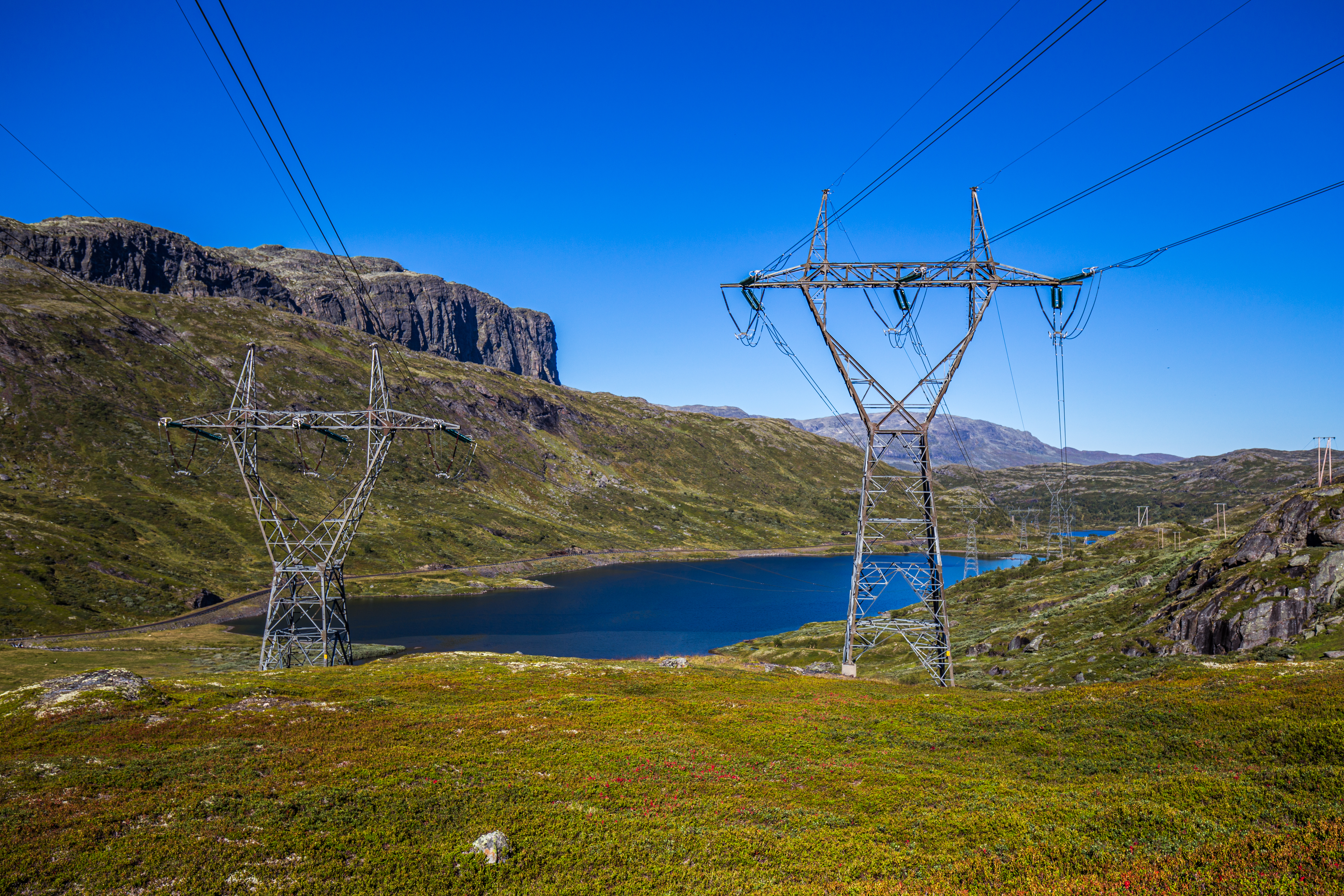 Dekorativt. Bilde av mast ved Aurland.