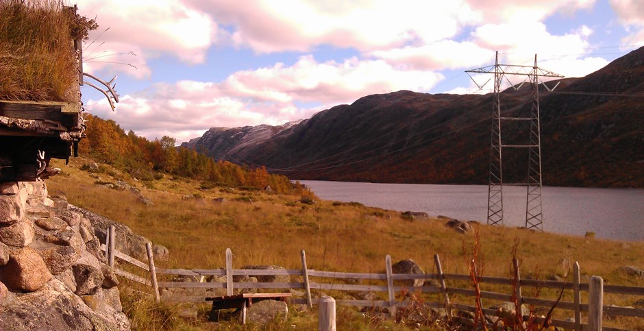 Illustrasjon av åker