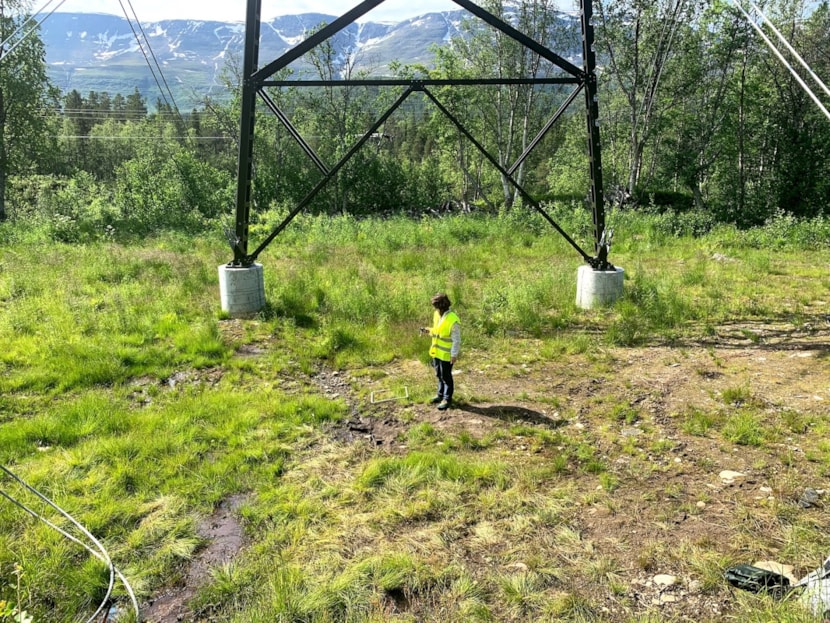 Mastepunkt i Reisadalen