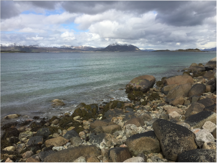 Illustrasjon av strandkant