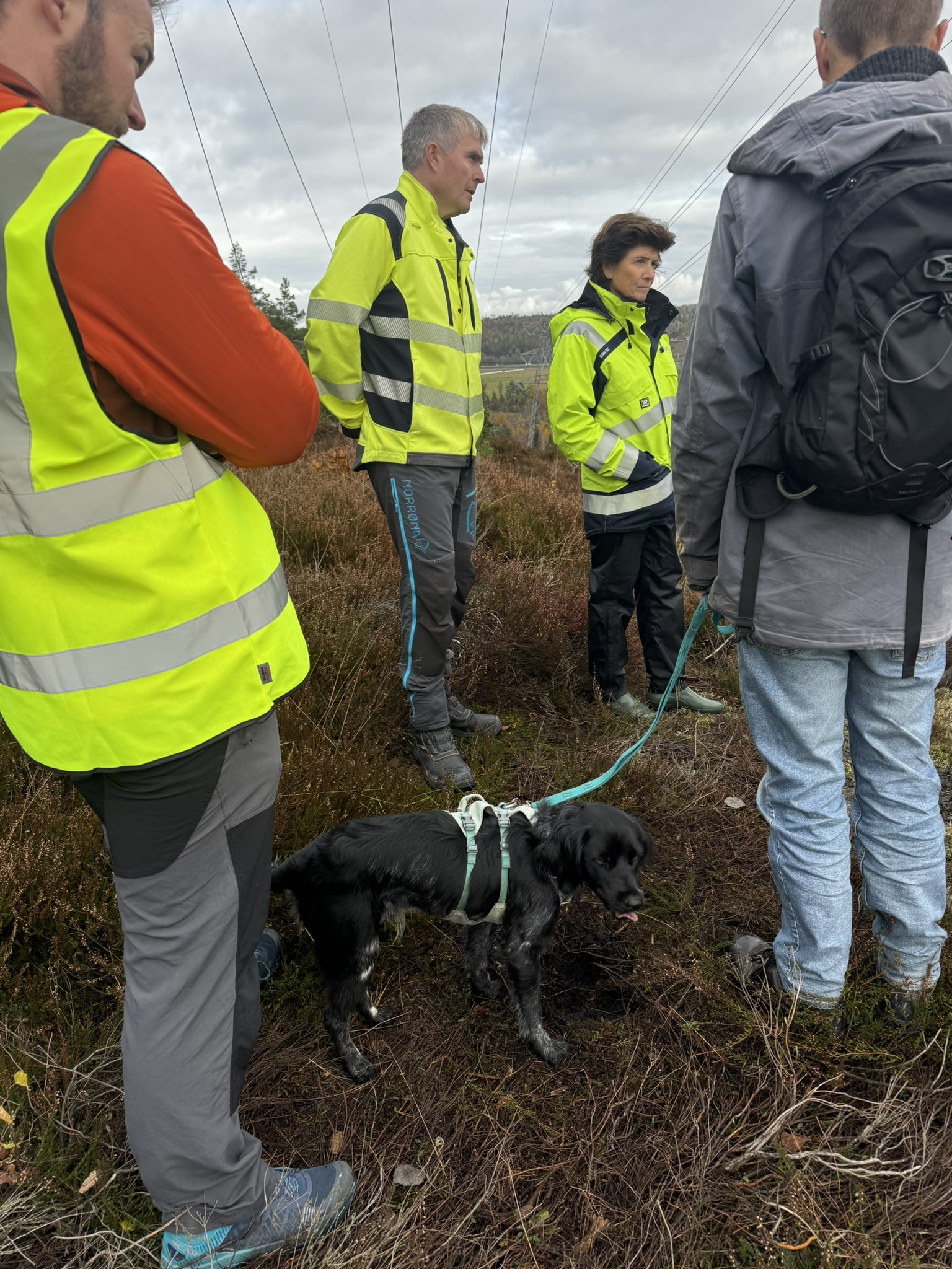Befaring transformatorstasjon Gulliåsen