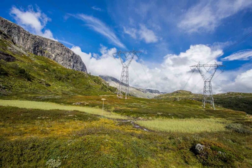 Grids in green nature with a blue cloudy sky 