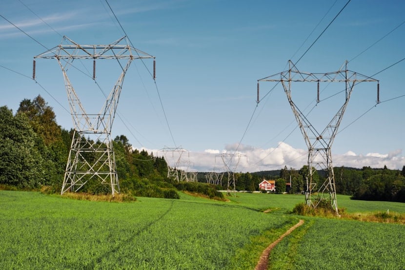 Illustrasjon av mast og eng