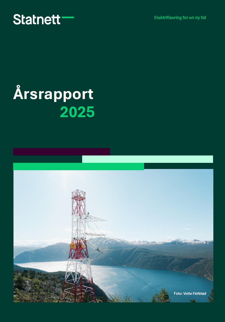 Illustration of annual report