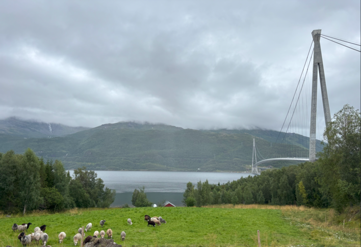 Bru som krysser en fjord